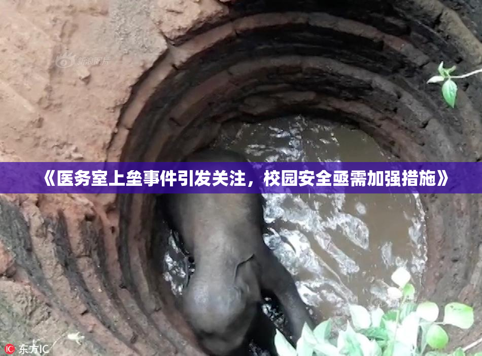 《医务室上垒事件引发关注，校园安全亟需加强措施》
