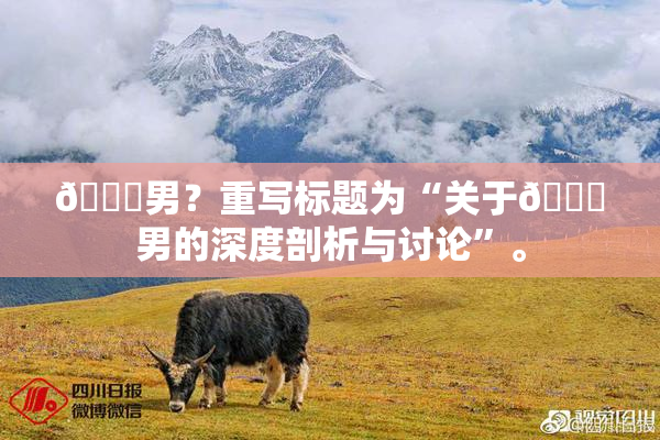 😚男？重写标题为“关于😚男的深度剖析与讨论”。