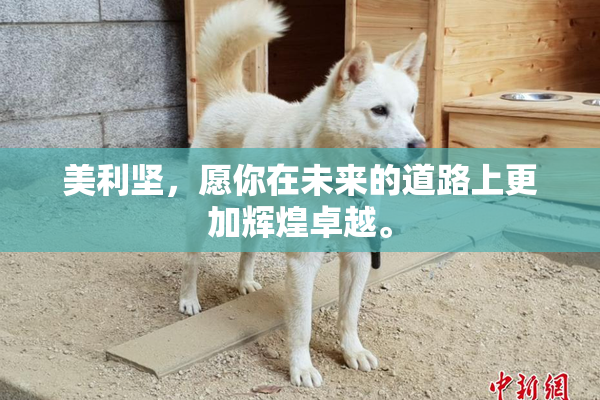 美利坚，愿你在未来的道路上更加辉煌卓越。