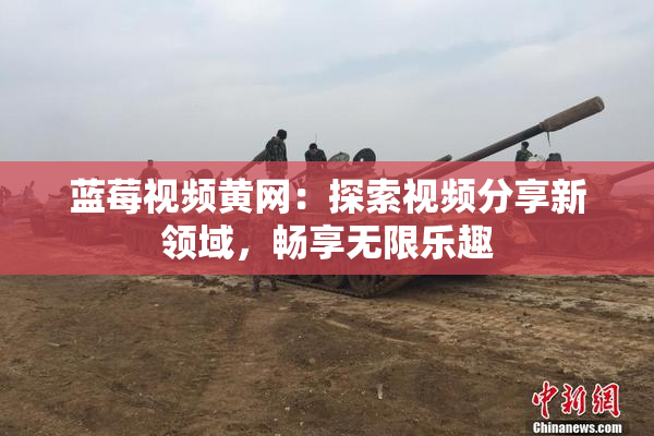 蓝莓视频黄网：探索视频分享新领域，畅享无限乐趣