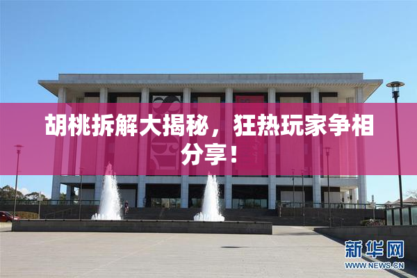 胡桃拆解大揭秘，狂热玩家争相分享！
