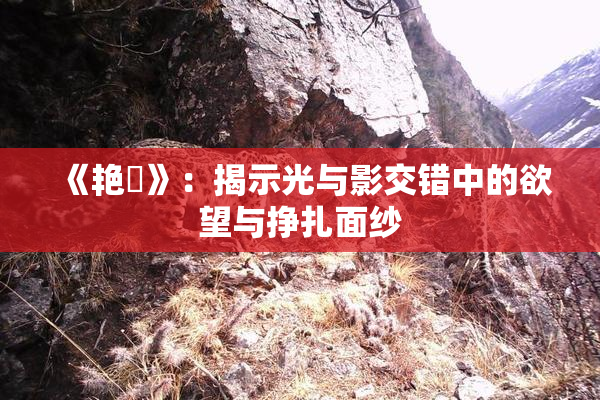 《艳鉧》：揭示光与影交错中的欲望与挣扎面纱