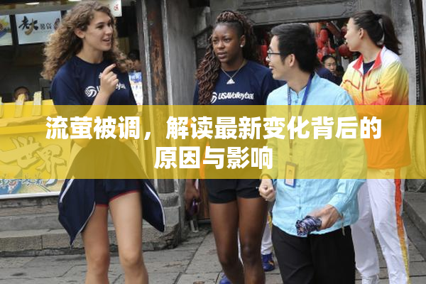 流萤被调，解读最新变化背后的原因与影响