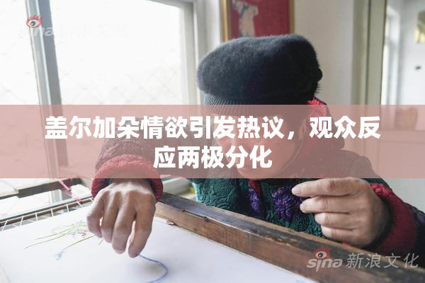 盖尔加朵情欲引发热议，观众反应两极分化