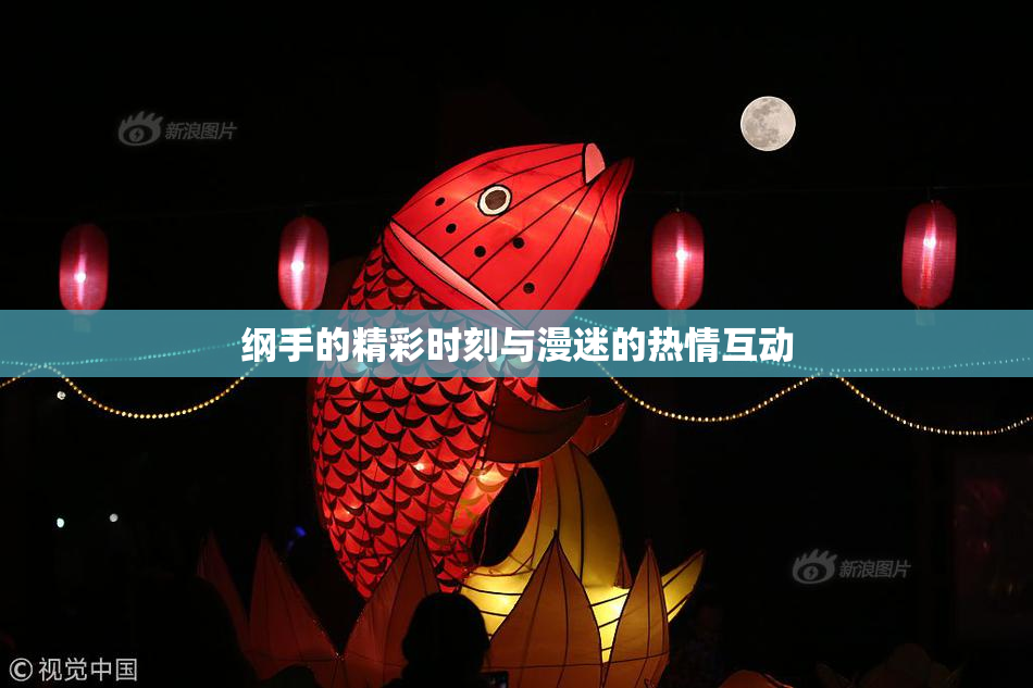 纲手的精彩时刻与漫迷的热情互动