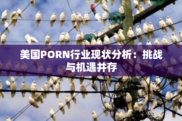 美国PORN行业现状分析：挑战与机遇并存