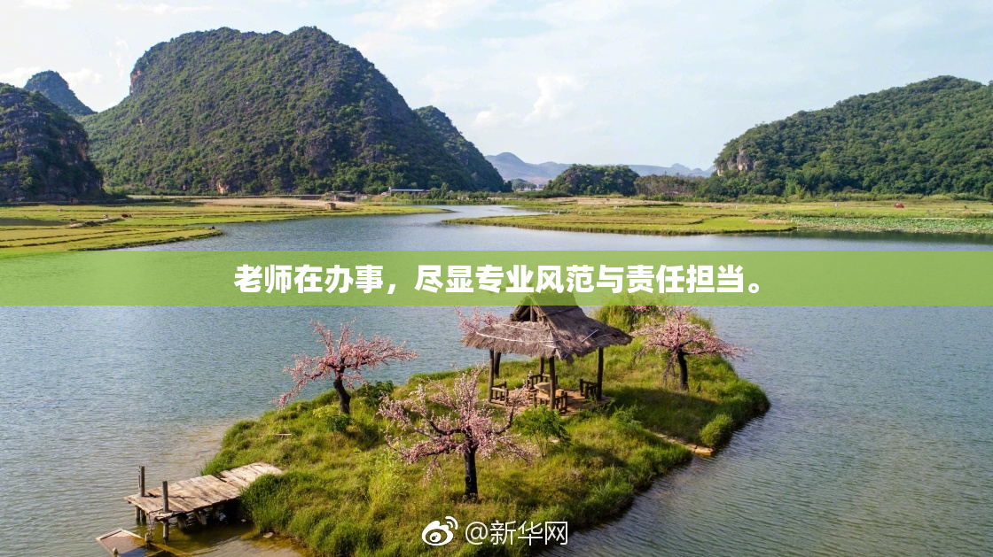 老师在办事，尽显专业风范与责任担当。