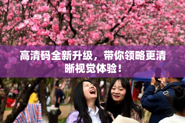 高清码全新升级，带你领略更清晰视觉体验！