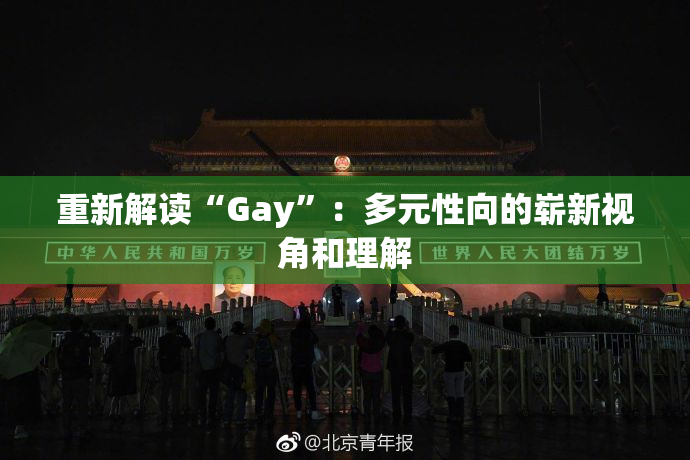 重新解读“Gay”：多元性向的崭新视角和理解