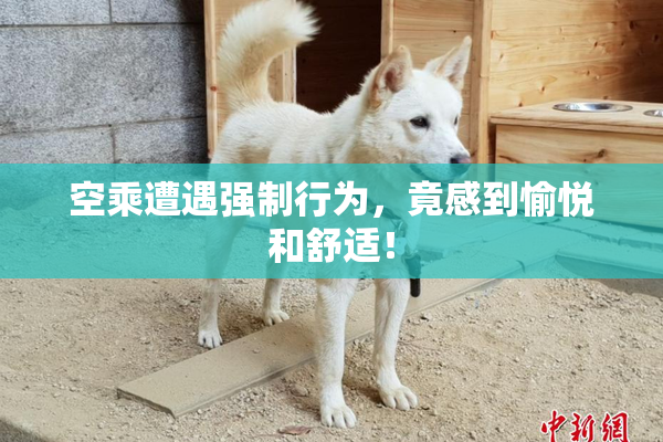 空乘遭遇强制行为，竟感到愉悦和舒适！