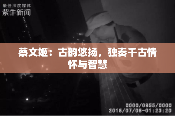 蔡文姬：古韵悠扬，独奏千古情怀与智慧