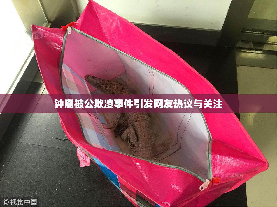 钟离被公欺凌事件引发网友热议与关注