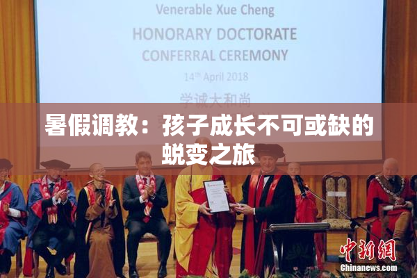 暑假调教：孩子成长不可或缺的蜕变之旅