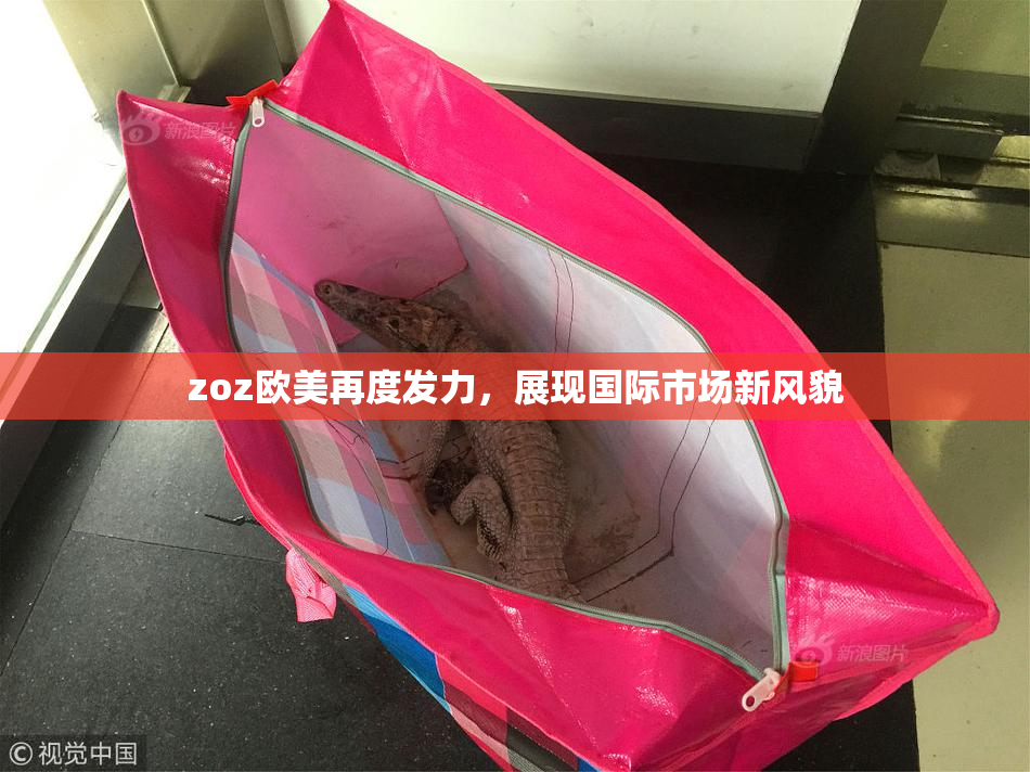zoz欧美再度发力，展现国际市场新风貌