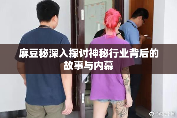 麻豆秘深入探讨神秘行业背后的故事与内幕