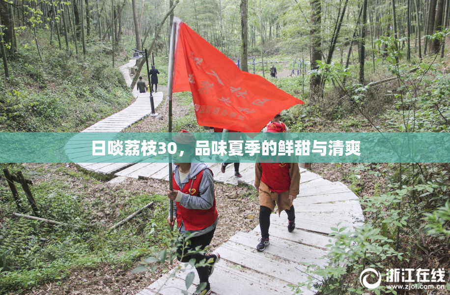 日啖荔枝30，品味夏季的鲜甜与清爽