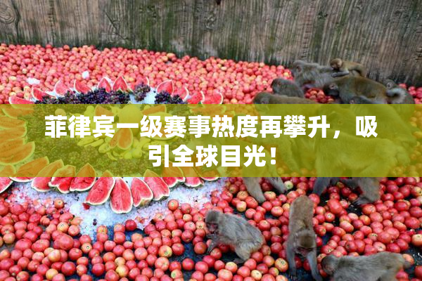 菲律宾一级赛事热度再攀升，吸引全球目光！