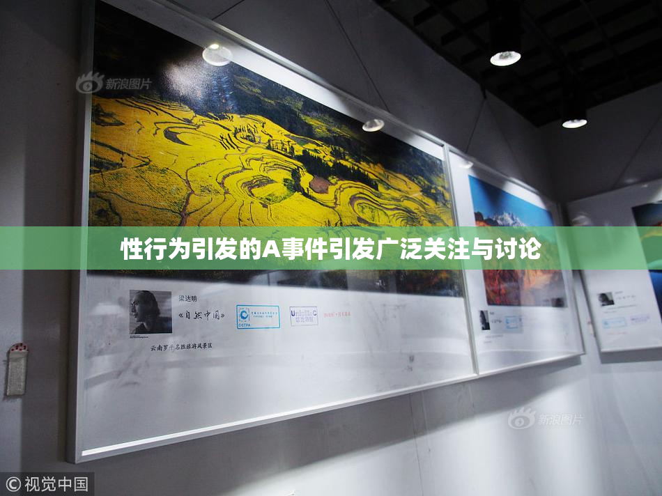 性行为引发的A事件引发广泛关注与讨论