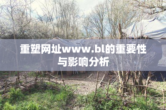 重塑网址www.bl的重要性与影响分析