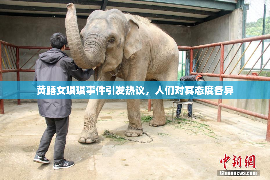 黄鳝女琪琪事件引发热议，人们对其态度各异
