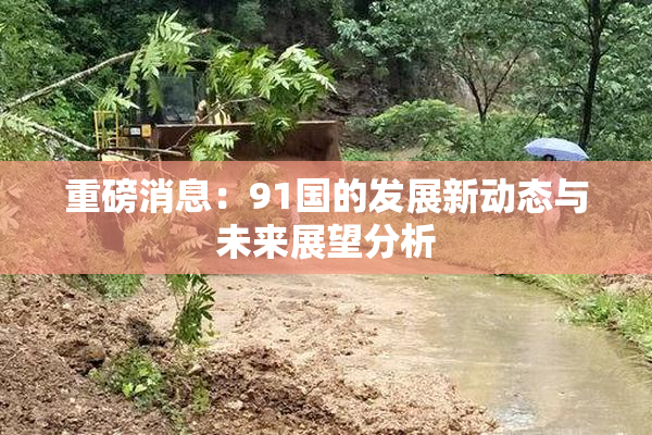 重磅消息：91国的发展新动态与未来展望分析