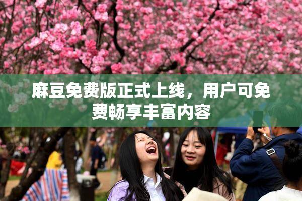 麻豆免费版正式上线，用户可免费畅享丰富内容