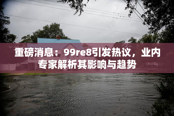 重磅消息：99re8引发热议，业内专家解析其影响与趋势