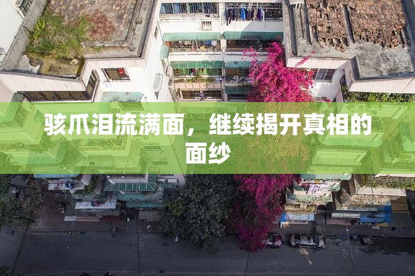 骇爪泪流满面，继续揭开真相的面纱
