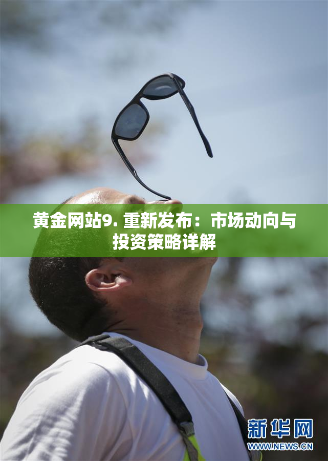 黄金网站9. 重新发布：市场动向与投资策略详解
