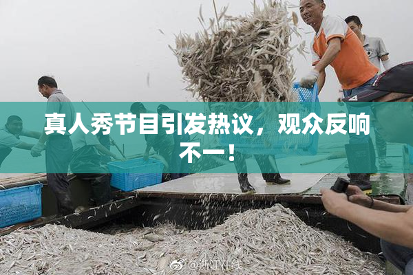 真人秀节目引发热议，观众反响不一！