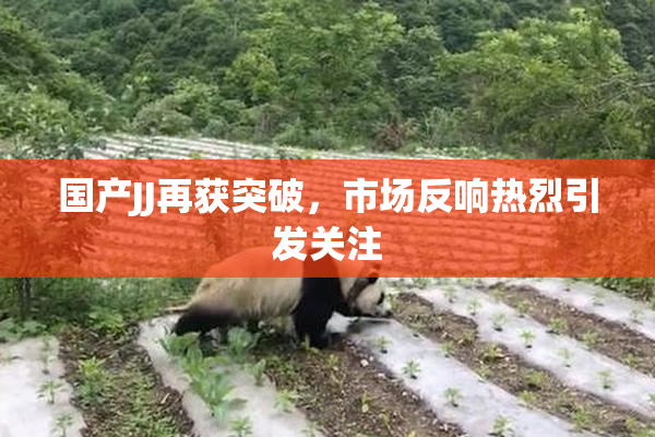 国产JJ再获突破，市场反响热烈引发关注