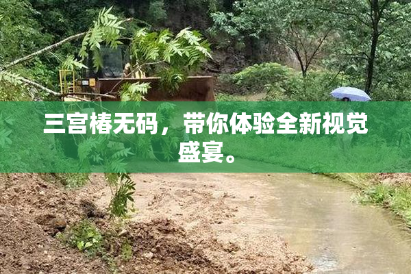 三宫椿无码，带你体验全新视觉盛宴。