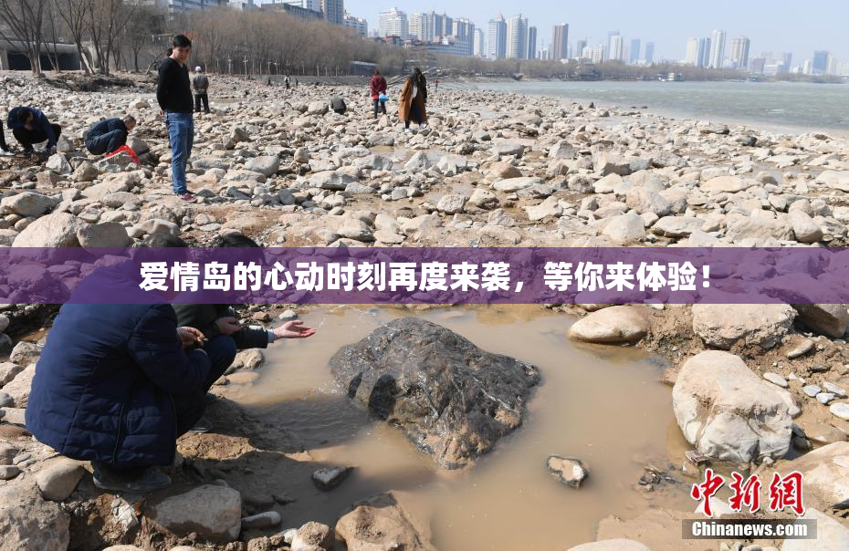 爱情岛的心动时刻再度来袭，等你来体验！