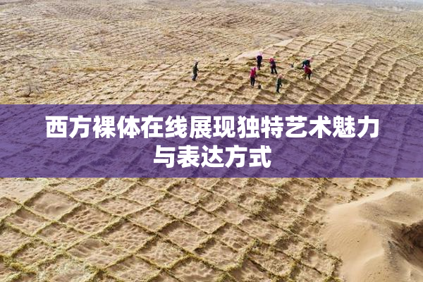 西方裸体在线展现独特艺术魅力与表达方式
