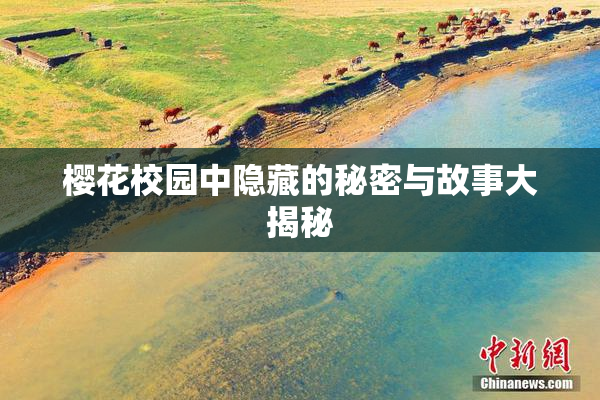 樱花校园中隐藏的秘密与故事大揭秘