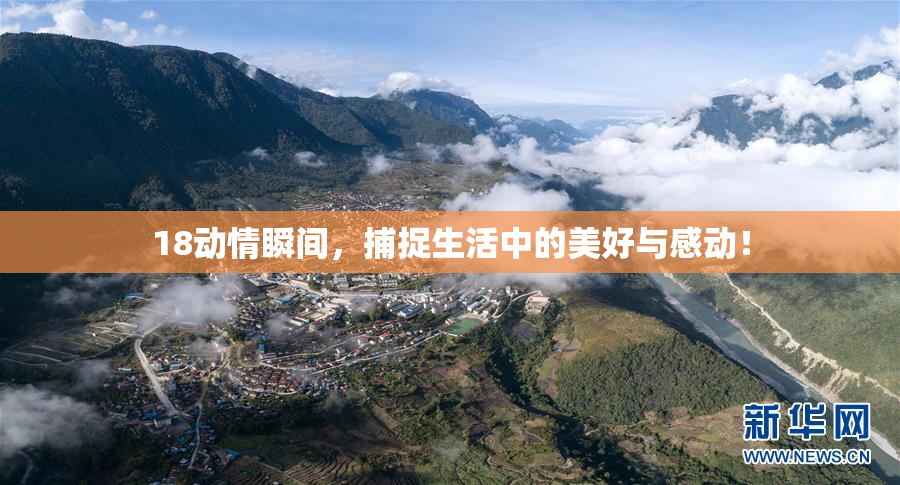 18动情瞬间，捕捉生活中的美好与感动！