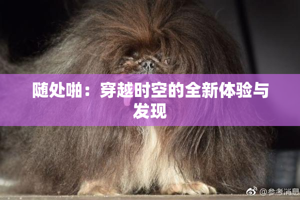 随处啪：穿越时空的全新体验与发现