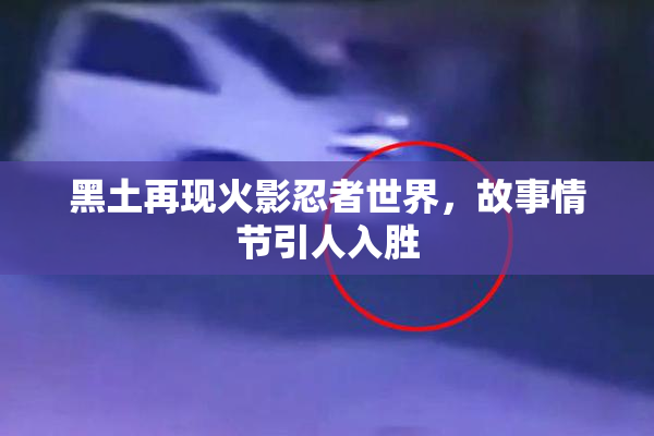 黑土再现火影忍者世界，故事情节引人入胜