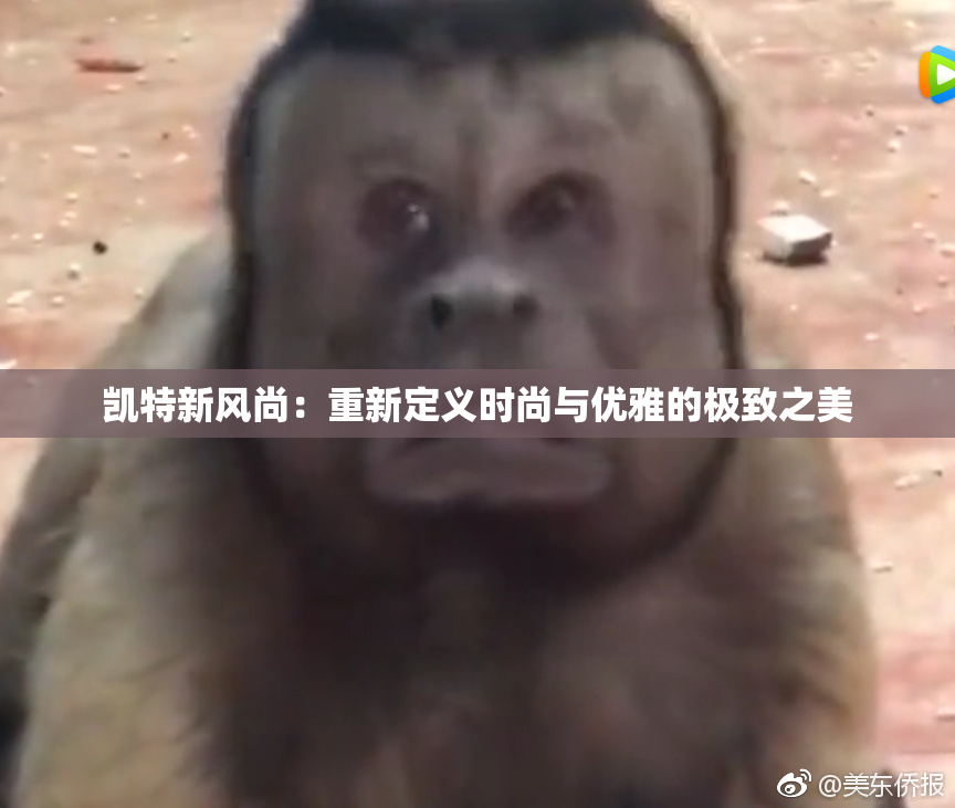 凯特新风尚：重新定义时尚与优雅的极致之美