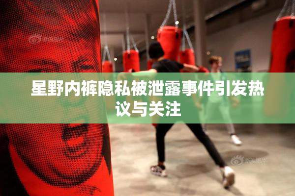 星野内裤隐私被泄露事件引发热议与关注