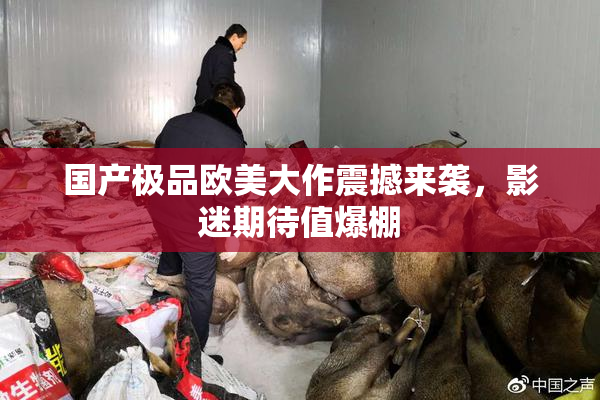 国产极品欧美大作震撼来袭，影迷期待值爆棚