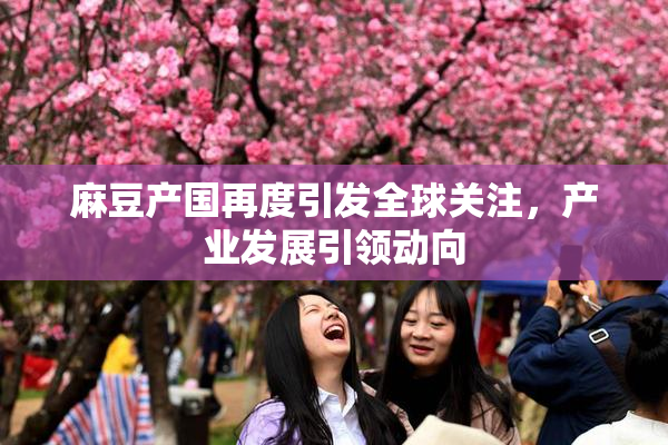 麻豆产国再度引发全球关注，产业发展引领动向