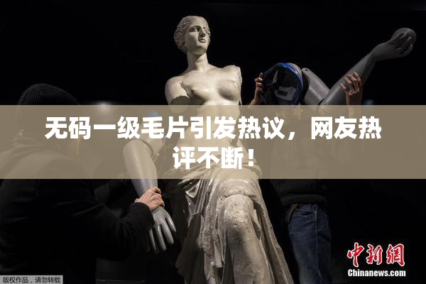 无码一级毛片引发热议，网友热评不断！