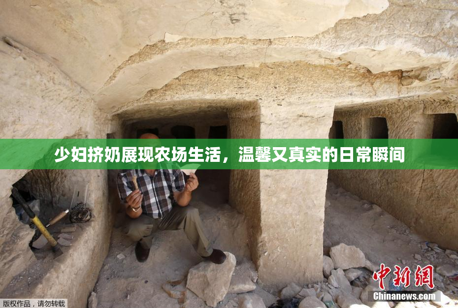 少妇挤奶展现农场生活，温馨又真实的日常瞬间