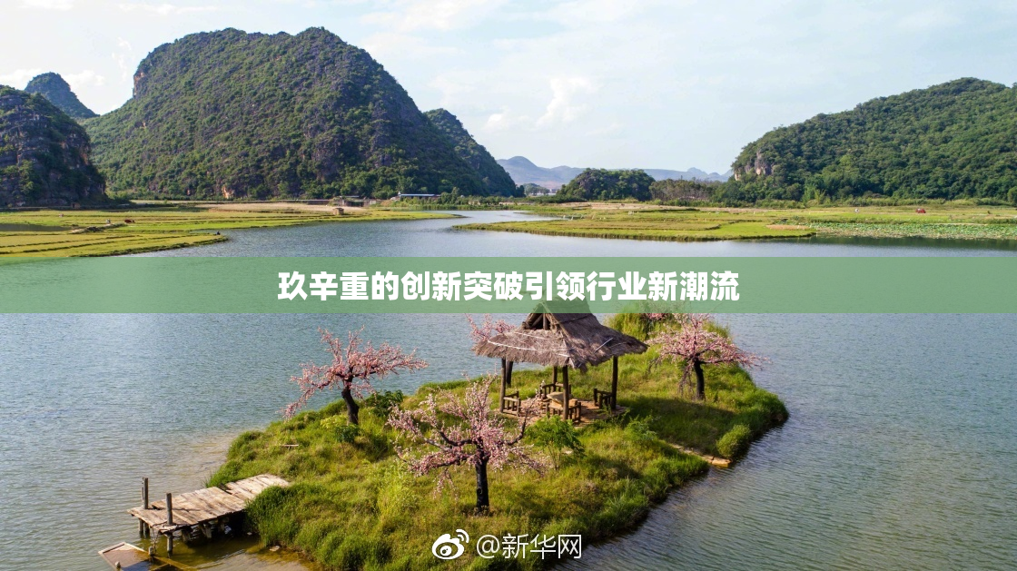 玖辛重的创新突破引领行业新潮流