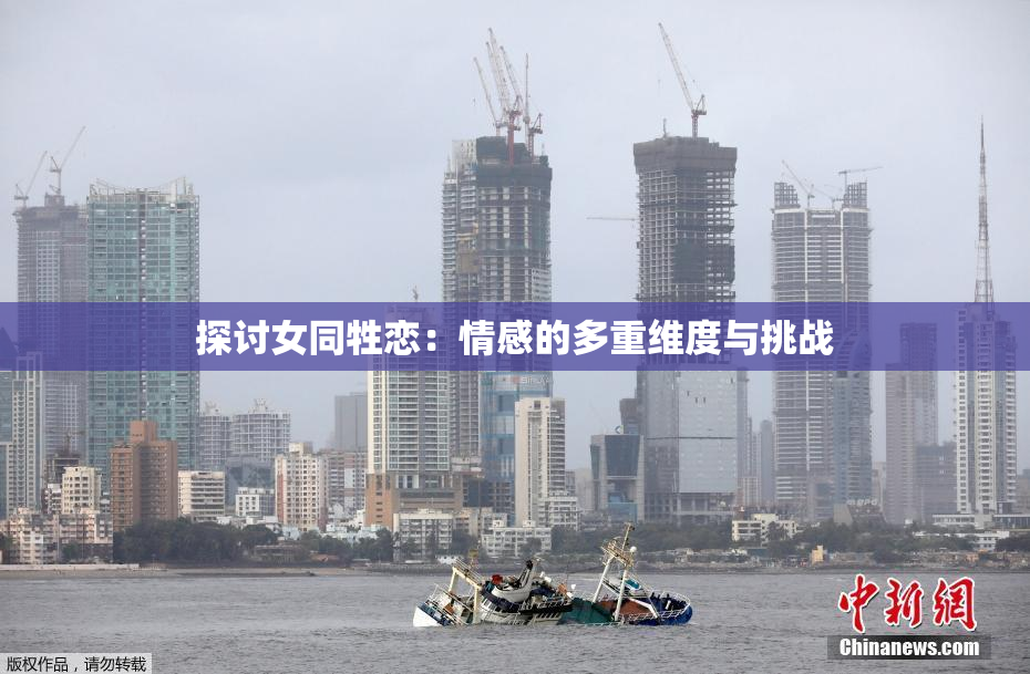 探讨女同牲恋：情感的多重维度与挑战