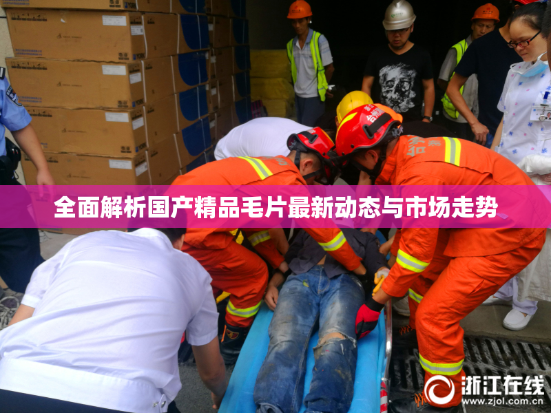 全面解析国产精品毛片最新动态与市场走势