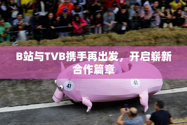 B站与TVB携手再出发，开启崭新合作篇章