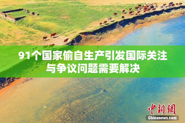 91个国家偷自生产引发国际关注与争议问题需要解决