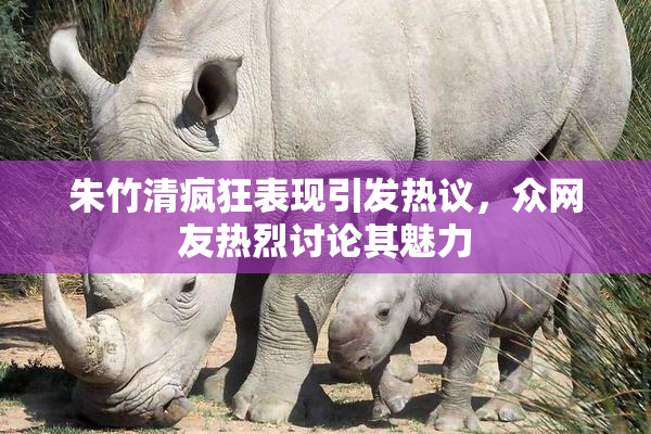 朱竹清疯狂表现引发热议，众网友热烈讨论其魅力
